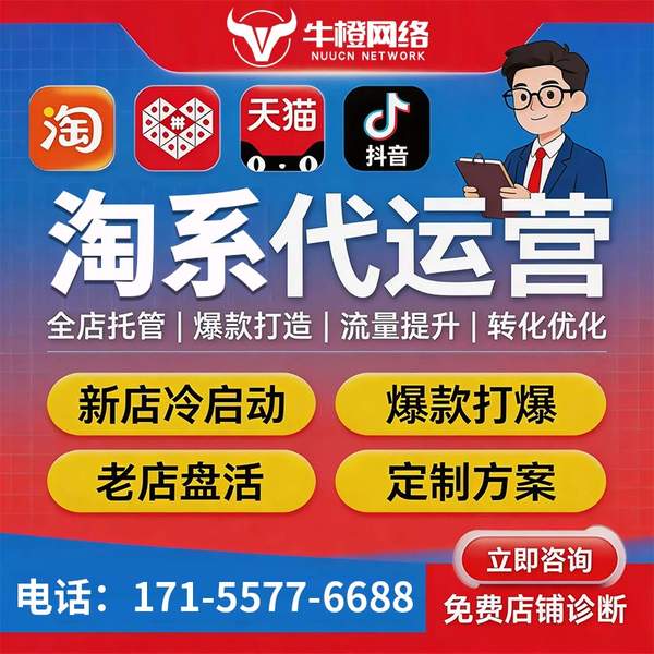 大理电商代运营