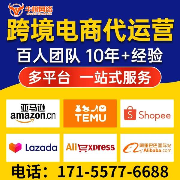 大理电商代运营