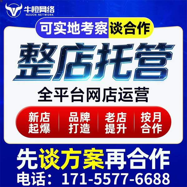 大理电商代运营