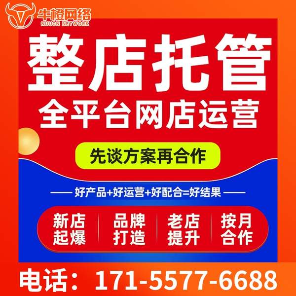 大理电商代运营