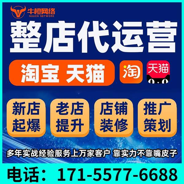 大理电商代运营