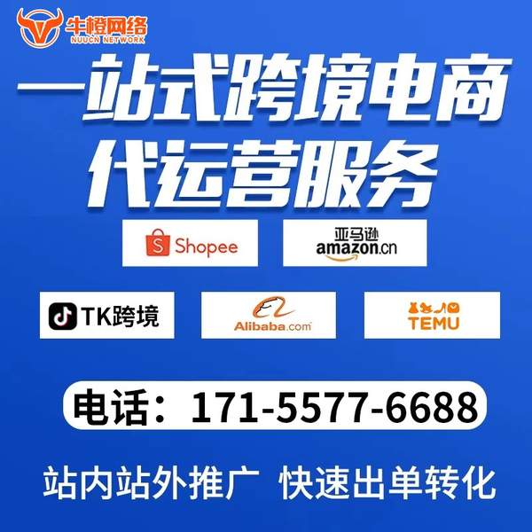 大理电商代运营