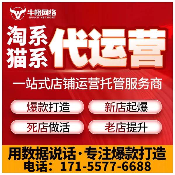大理电商代运营